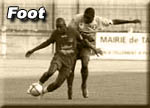 Football
8 sous-albums
1964 visites