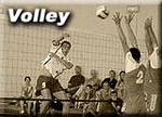 Volley
12 sous-albums
2369 visites